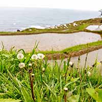 image15